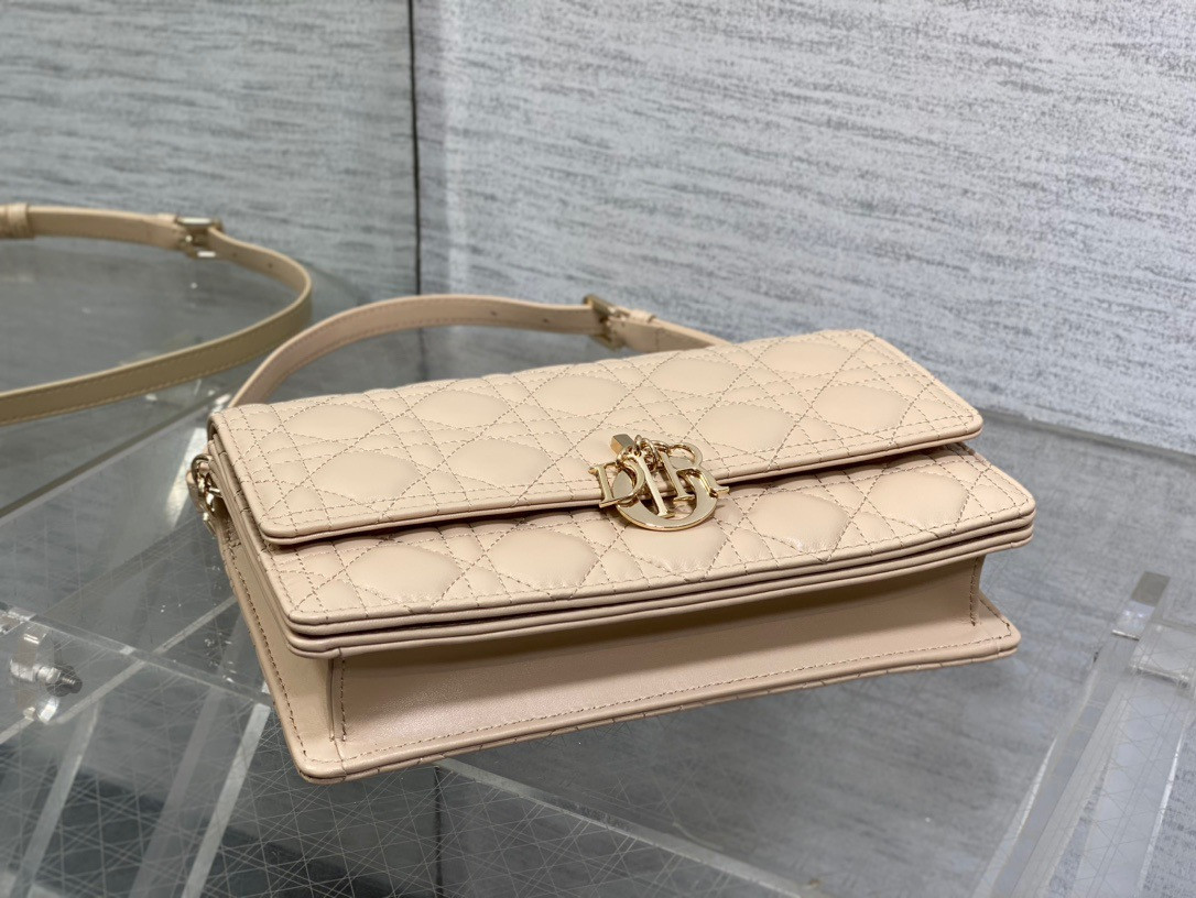 my D*or top handle bag 24x14x7.5cm