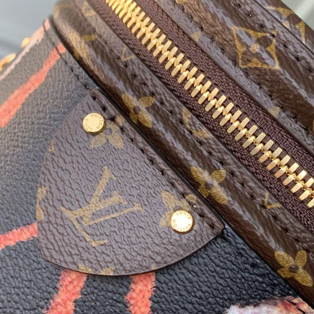 LV Cannes M13846 15x17x15cm